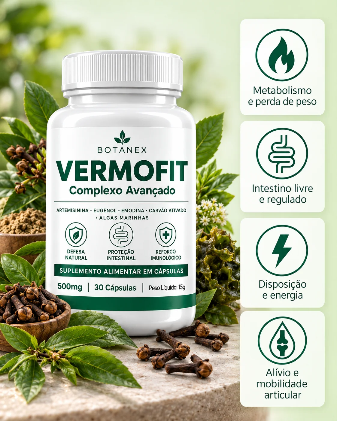 Benefícios do VermoFit em ícones