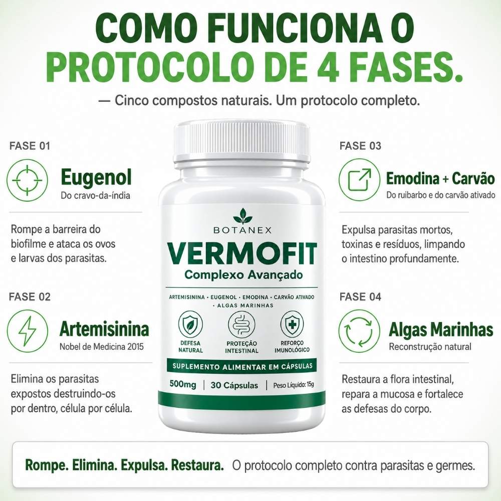 Como funciona o protocolo de 4 fases
